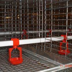Manufacturers Exporters and Wholesale Suppliers of Rearing Grower Cages Mohali Punjab